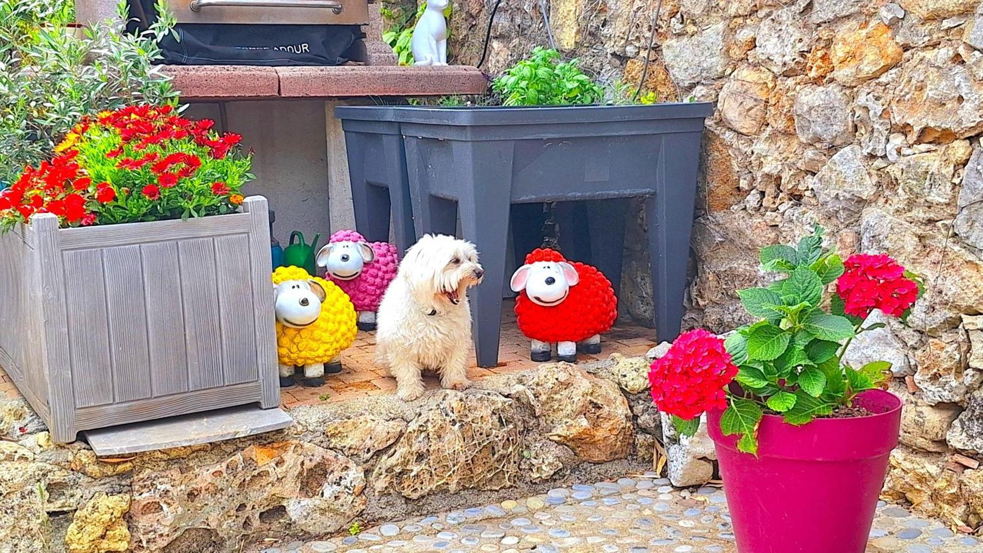 Taradeau La Bergerie Du Moulin (Adults Only) B&B 외부 사진